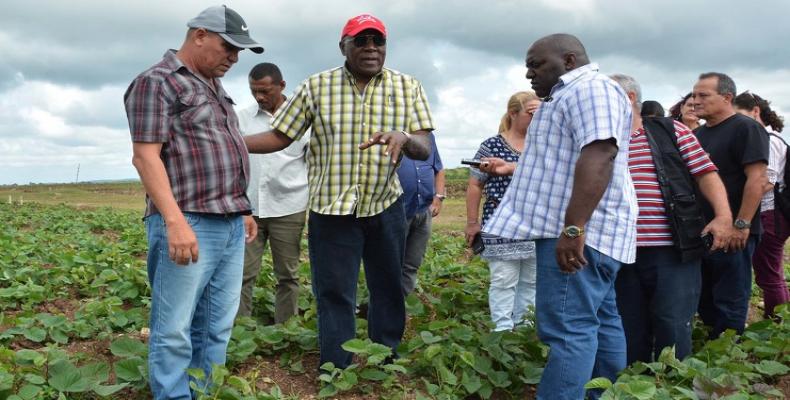 Vicepresidente de Cuba llama a elevar eficiencia en ramas de interés económico