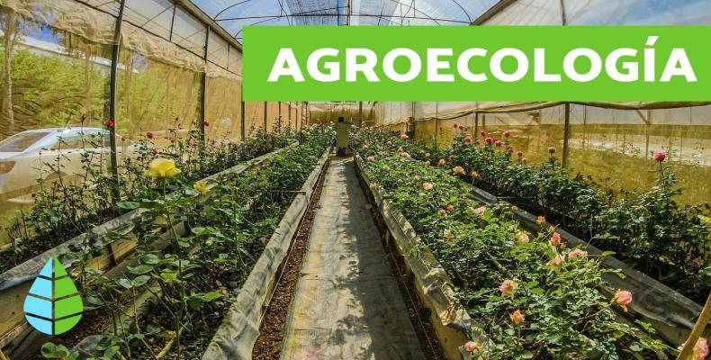 Finaliza #Hoy en Cuba foro mundial de agroecología