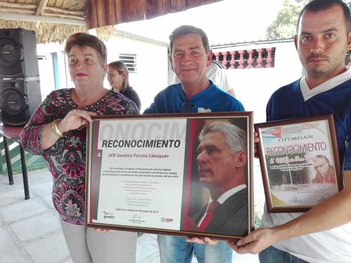 Reconocen a nivel nacional a empresa Genético Porcina de Cabaiguán