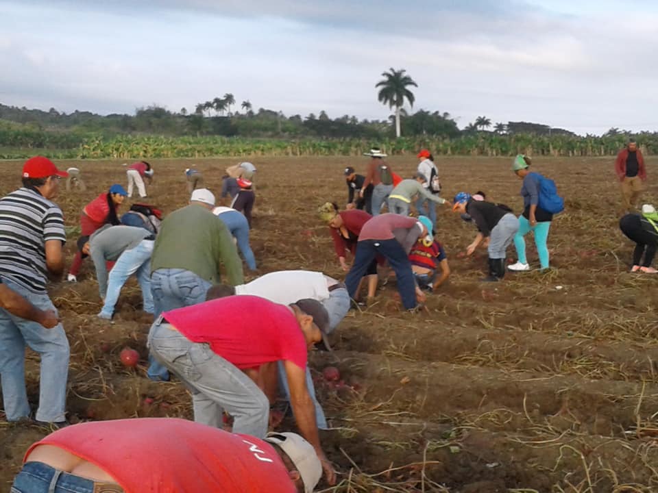 Movimiento obrero de Cabaiguán saluda 61 Aniversario del Triunfo de la Revolución