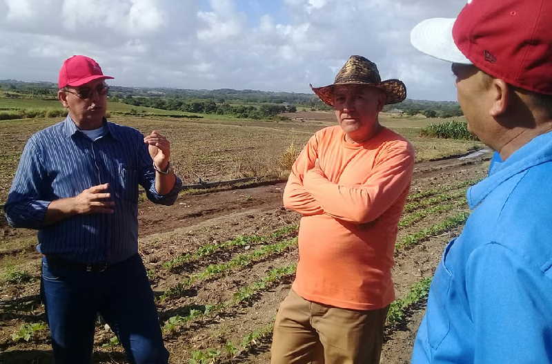 Recorre Ministro de la Agricultura áreas tabacaleras de Cabaiguán