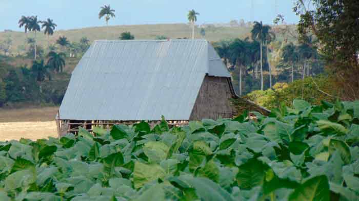 Paisaje rural