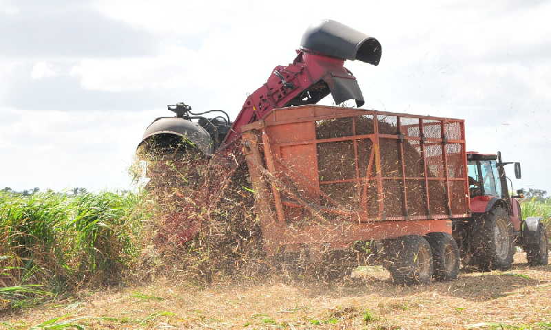 La producción azucarera en Sancti Spíritus toma el paso