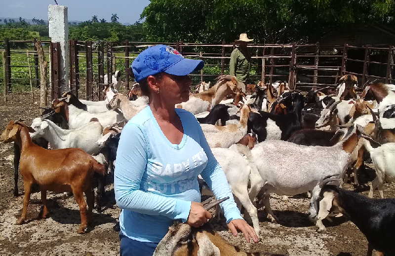 Matrimonio espirituano afincado en la tierra (+fotos)