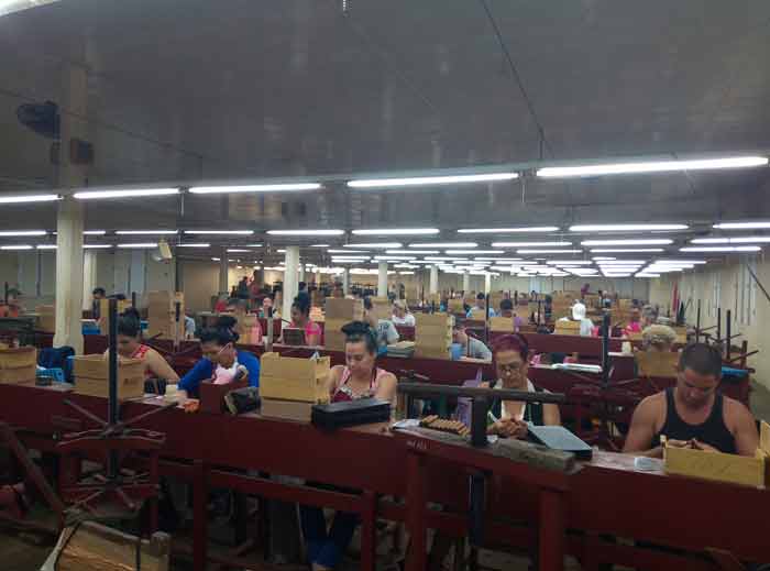 Sobresale fuerza laboral femenina en la Fábrica de Tabaco Torcido Alfredo López Brito de Cabaiguán