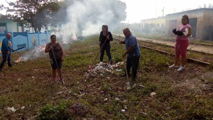 Continúan en Cabaiguán acciones de erradicación del caracol gigante africano