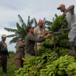 jovenes en la agricultura