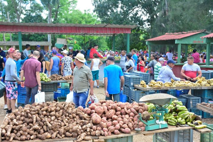 Reorganizan comercialización de productos alimenticios