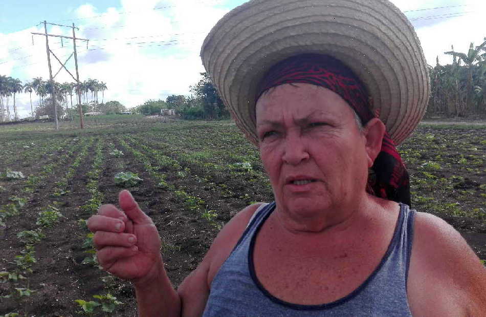 Llevamos una rosa en la frente (+fotos)