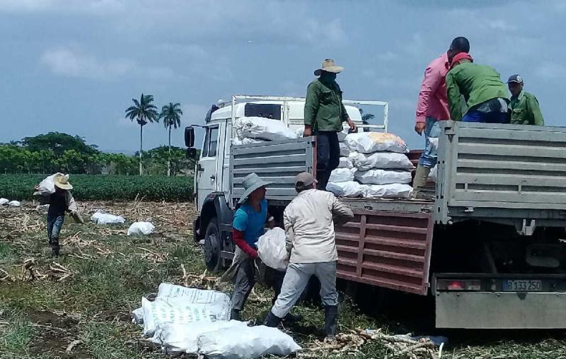 La COVID-19 destapó las reservas del campo (+fotos)