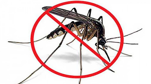 Mantiene el municipio alta focalidad del Aedes Aegypti