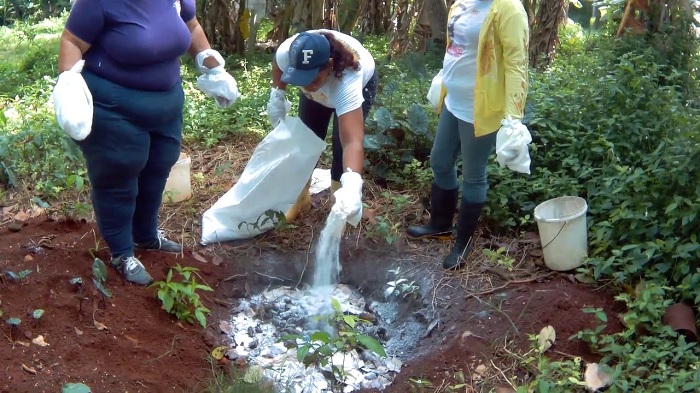 Apoyan maestros de Cabaiguán diferentes tareas en tiempos de coronavirus