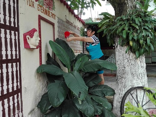 Manos Ecológicas