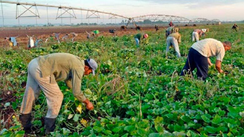 Conmemoran el 26 de Julio en Cabaiguán  con la creación de polos productivos para contribuir a la alimentación del pueblo