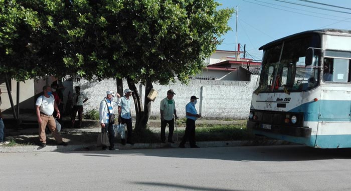 Comienzan a funcionar los puntos de recogida del  municipio