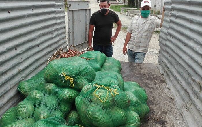 Continúa la solidaridad campesina en Cabaiguán en tiempos de pandemia