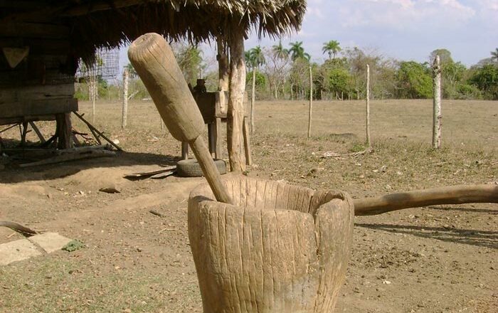 Pilón de madera: añeja tradición campesina