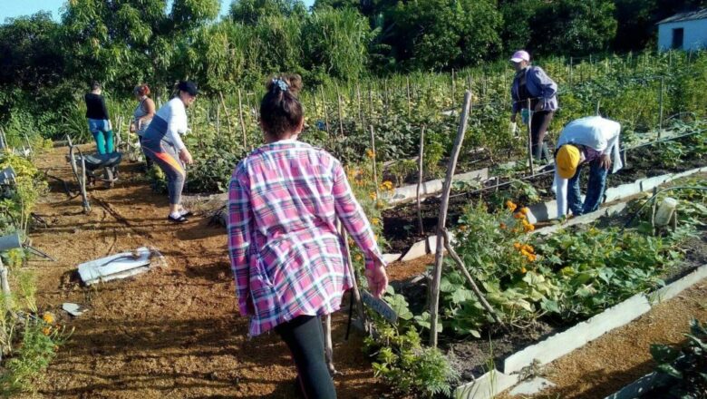 Federadas y cederistas espirituanos frente a la COVID-19 y otras tareas