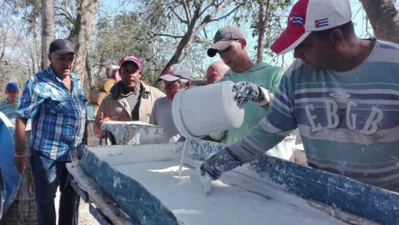 El negocio de Toñín pinta bien en la finca San Manuel (+fotos)