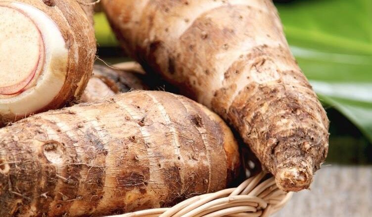 Insiste Consejo de la Administración de Cabaiguán en garantizar la soberanía alimentaria