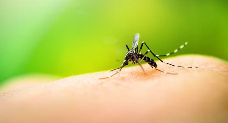 El dengue entra sin permiso a Cabaiguán