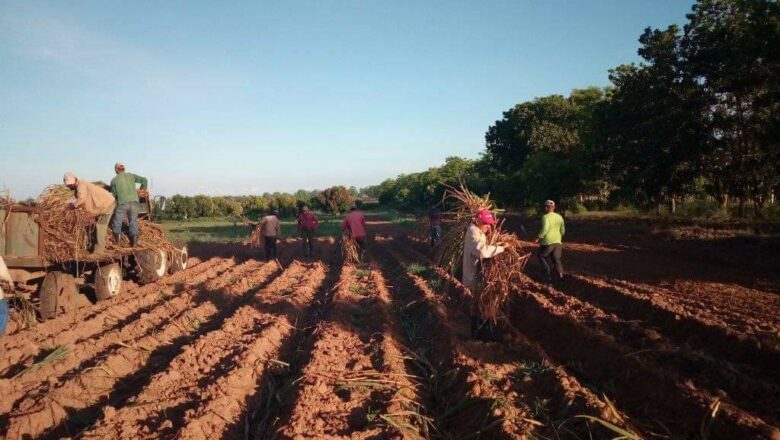 Jóvenes espirituanos se suman al tributo a Fidel