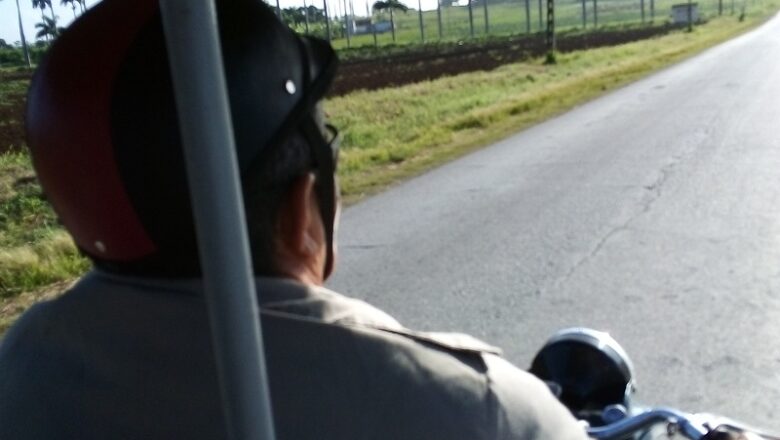 Sorpresa en la carretera