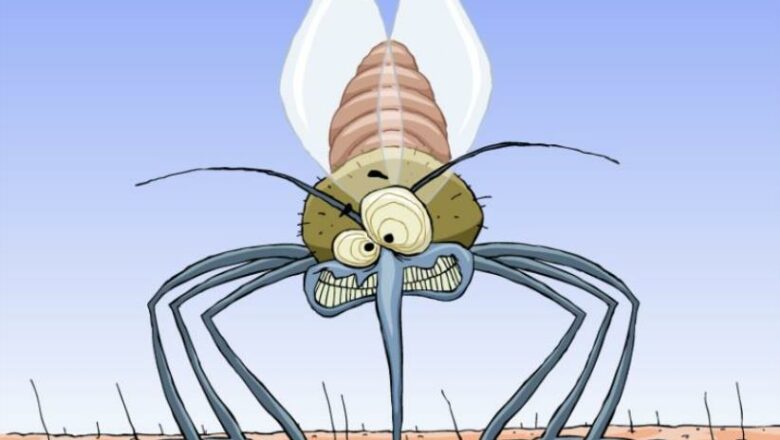 Continúa alta incidencia del Aedes aegypti en Cabaiguán