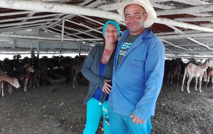 Yulia y Bombino, dos cabaiguanenses más allá del matrimonio (+ Audio)