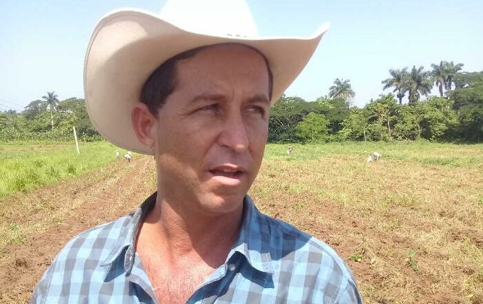 Agricultores de la CPA Juan González proyectan diversificar sus producciones