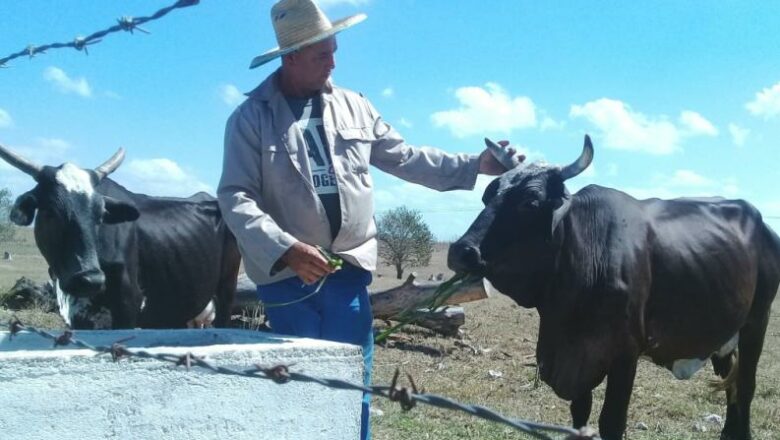 Pedí la tierra para explotarla (+fotos)