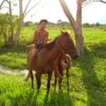 El niño, la yegua y el potrico 5 foto de hoy 12