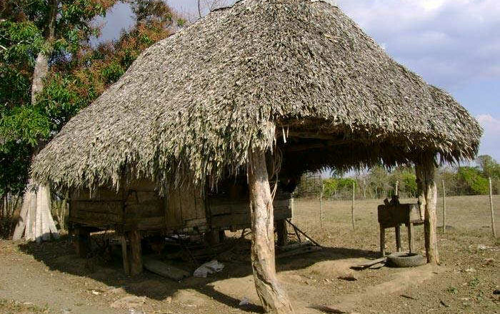 El rancho de maíz