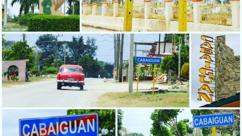 La llegada y el adiós