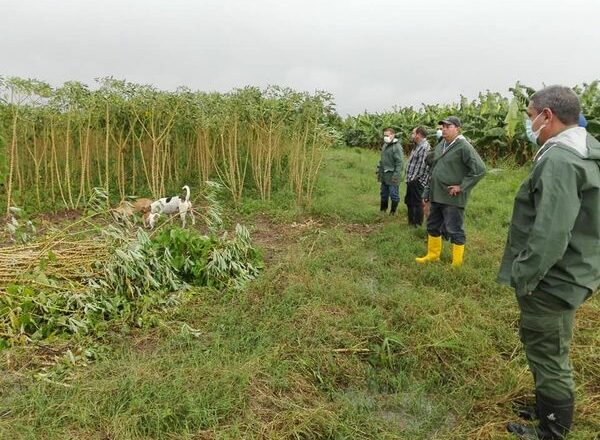 Se evalúan daños de Eta en Cabaiguán (+ Fotos)