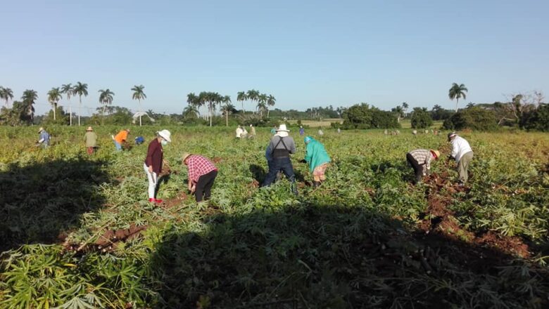 Agricultores cabaiguanenses rindieron homenaje a Fidel