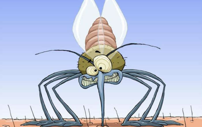 Aedes Aegypti hace de las suyas en Cabaiguán