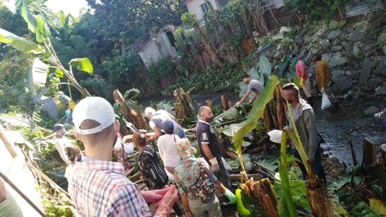 Educadores de Cabaiguán combaten al Caracol africano (+ Fotos)