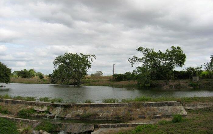 La presita de Nodarse