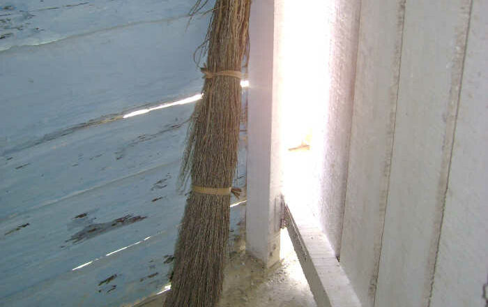 La escoba de la palma real