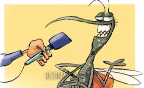 Arrecia Cabaiguán combate contra el Aedes Aegypti
