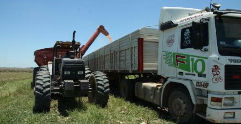 Sector agropecuario en Cuba se prepara para el ordenamiento monetario