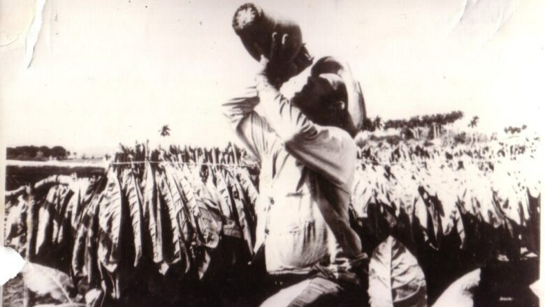 El olvido del porrón