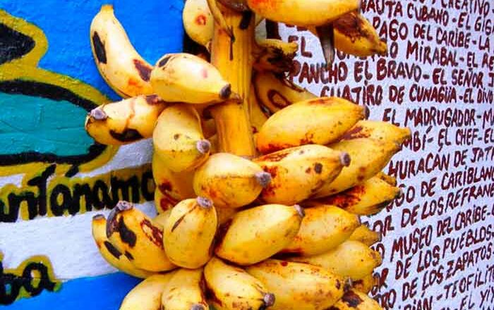 Platanitos de fruta