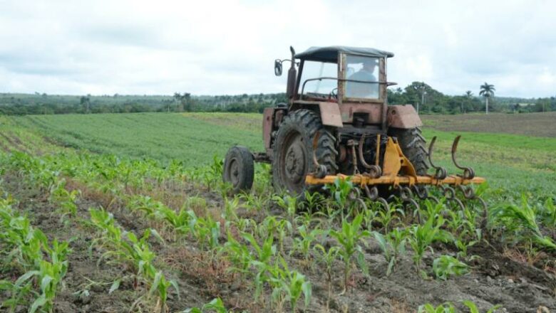 Aplican la ciencia a favor del desarrollo local en Yaguajay
