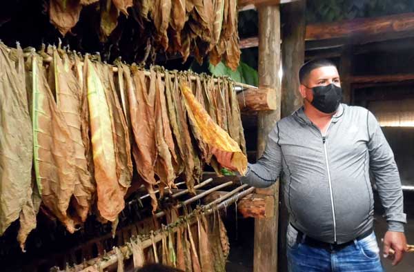 La exquisitez de un muchachón super-atrevido