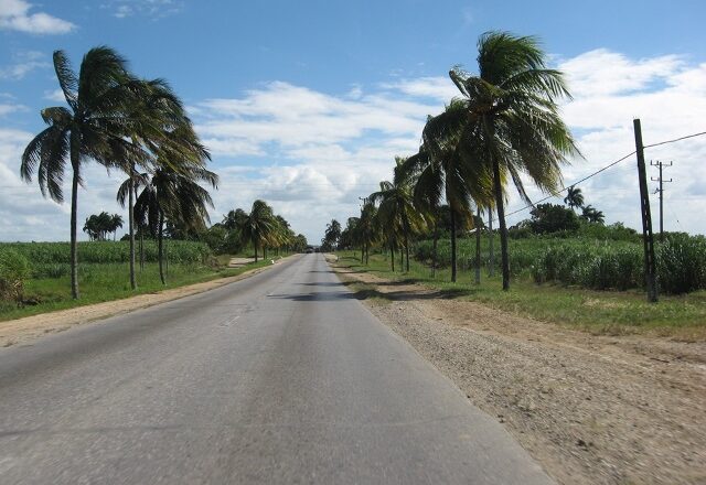 Rumbo a Guayos
