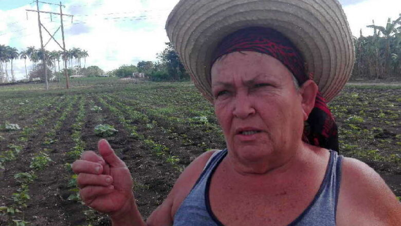 Juana María Blanco, Heroína del Trabajo de la República de Cuba