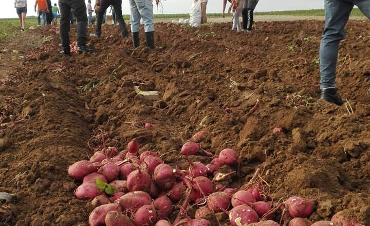 Realizan activo juvenil campesino en Cabaiguán(+ Fotos)