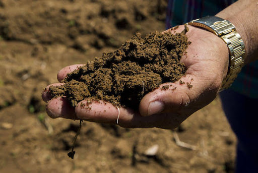 La tierra, está enferma, los seres humanos pueden curarla